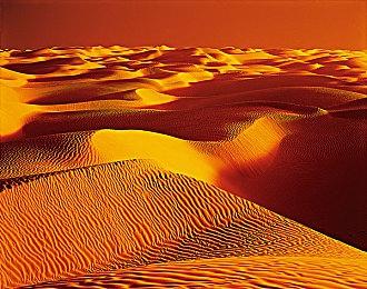 《死亡搁浅：导演剪辑版》现已登陆Xbox Series X|S