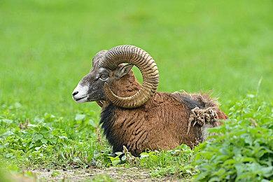 游戏版《魔女宅急便》《米卡与魔女之山》正式发售